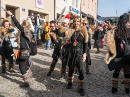 EFG-Faschingszug Auerbach 2025_99